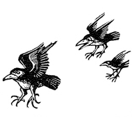 Erhart Bauch - Druckgrafik